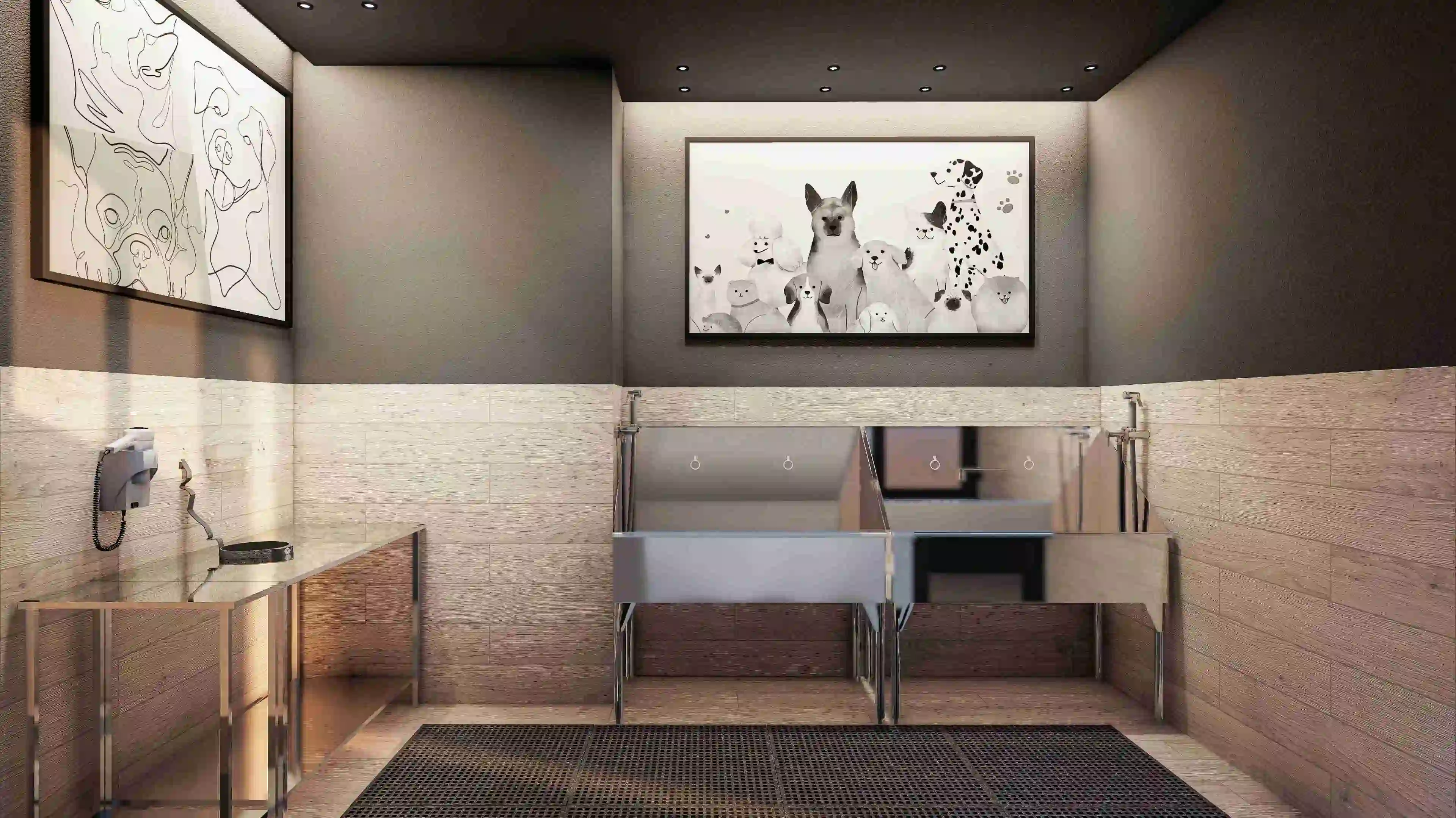 14_2_11_cerrillos_petlaundry